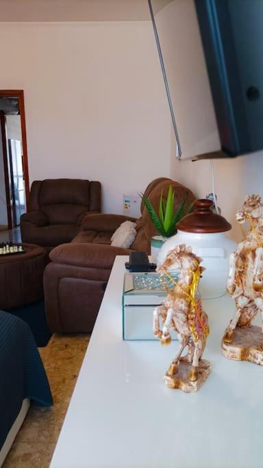 Homestay Bravo Horse