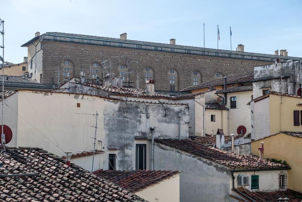 View Of Pitti Palace Elegant Loft