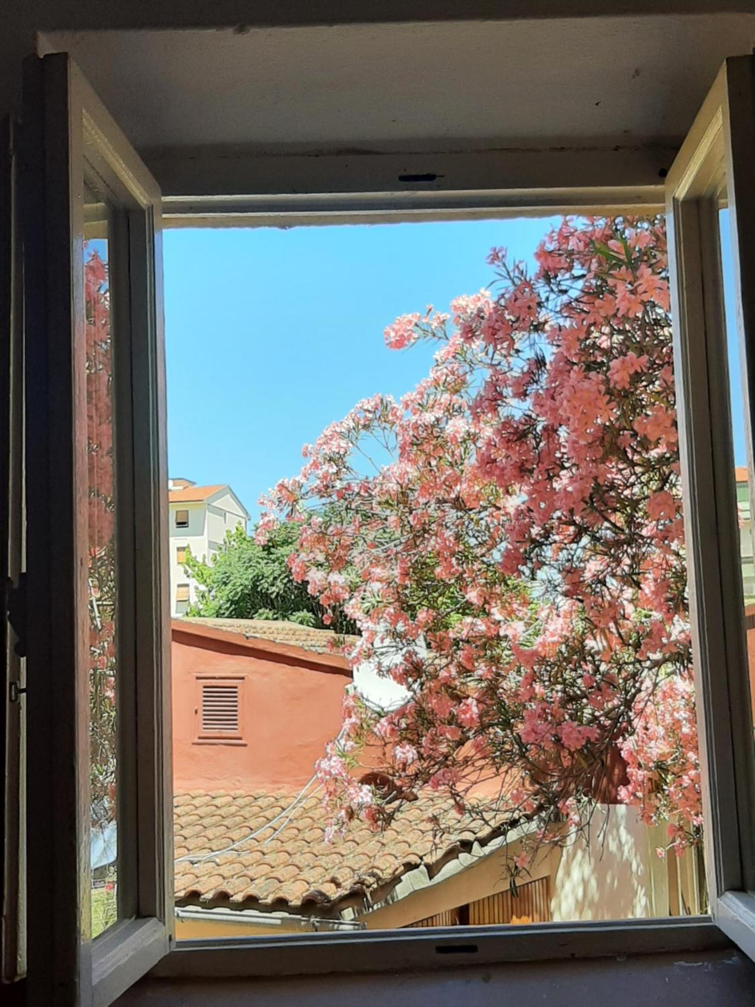 Appartement Mary&flo House - A Due Passi Dal Centro - Free Private Parking Florence