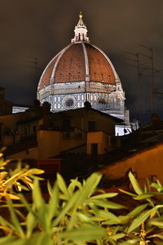 Art And Luxury Florence