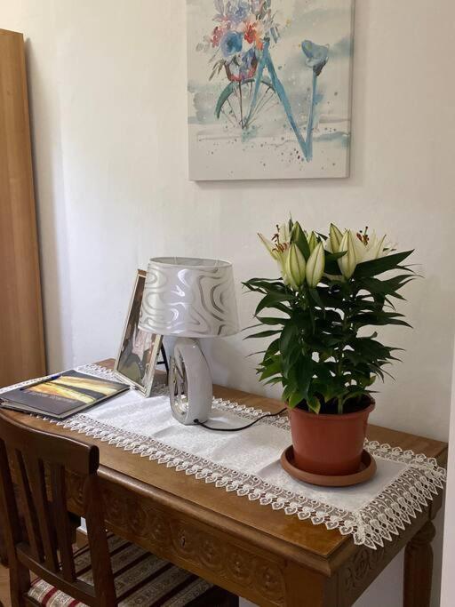 Apartment Casa Boss Stazione Smn