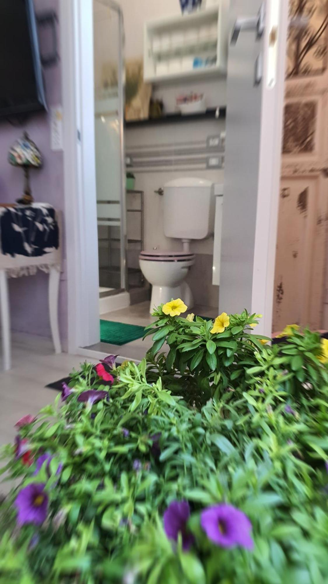 Guest house In House.. Florence