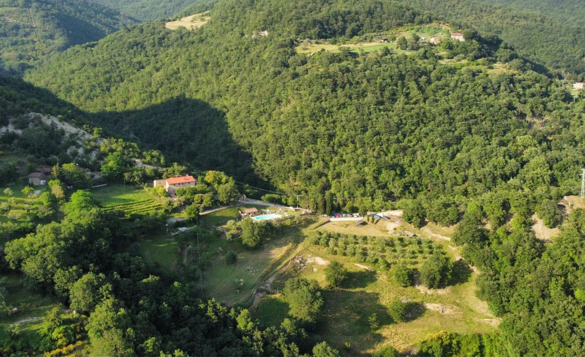 Il Colle - Giglio Holiday home Florence