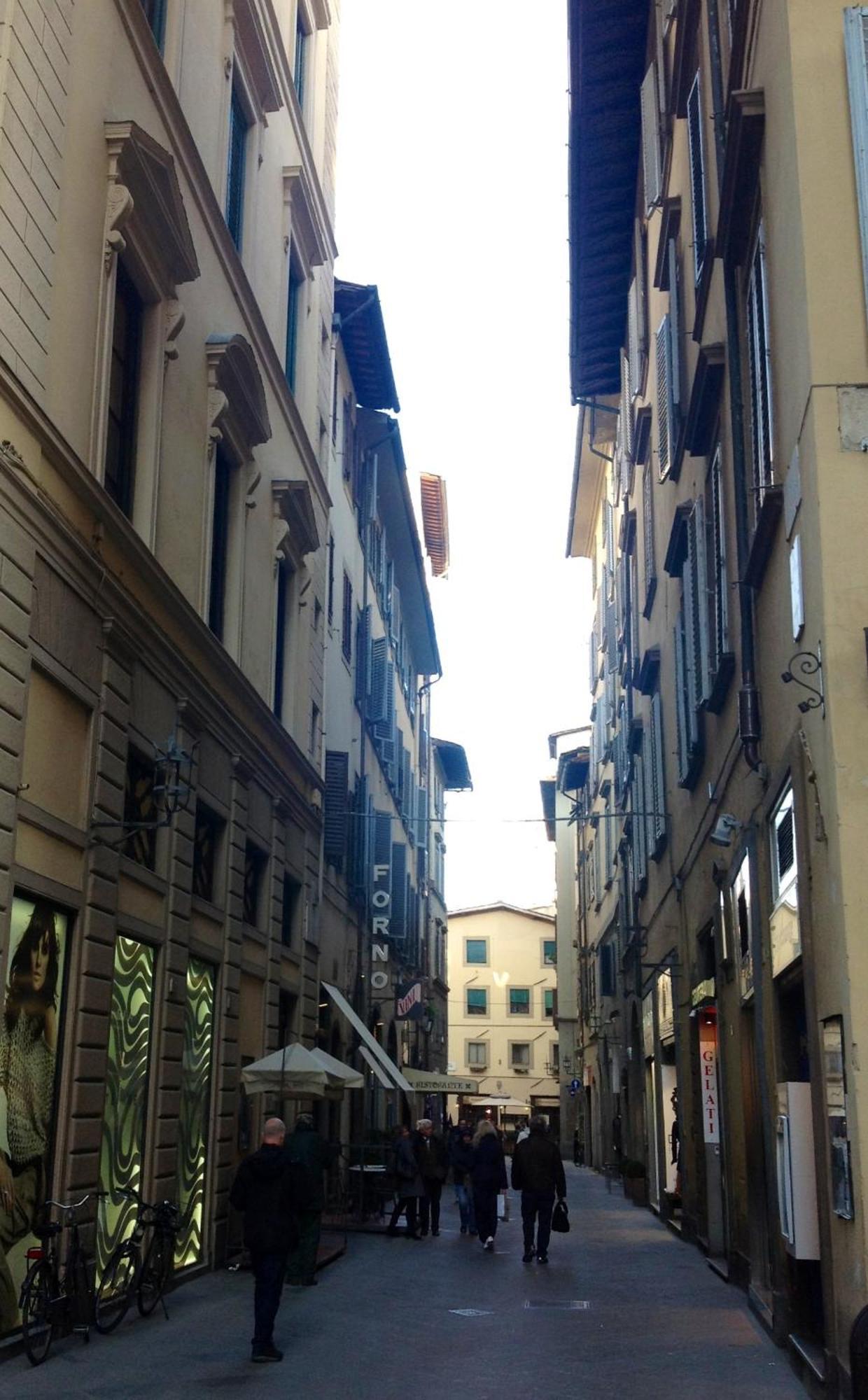 Stanze Del David Place Florence