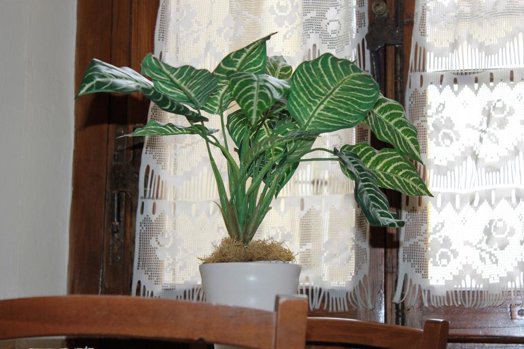 Guest house Buonarroti Relais