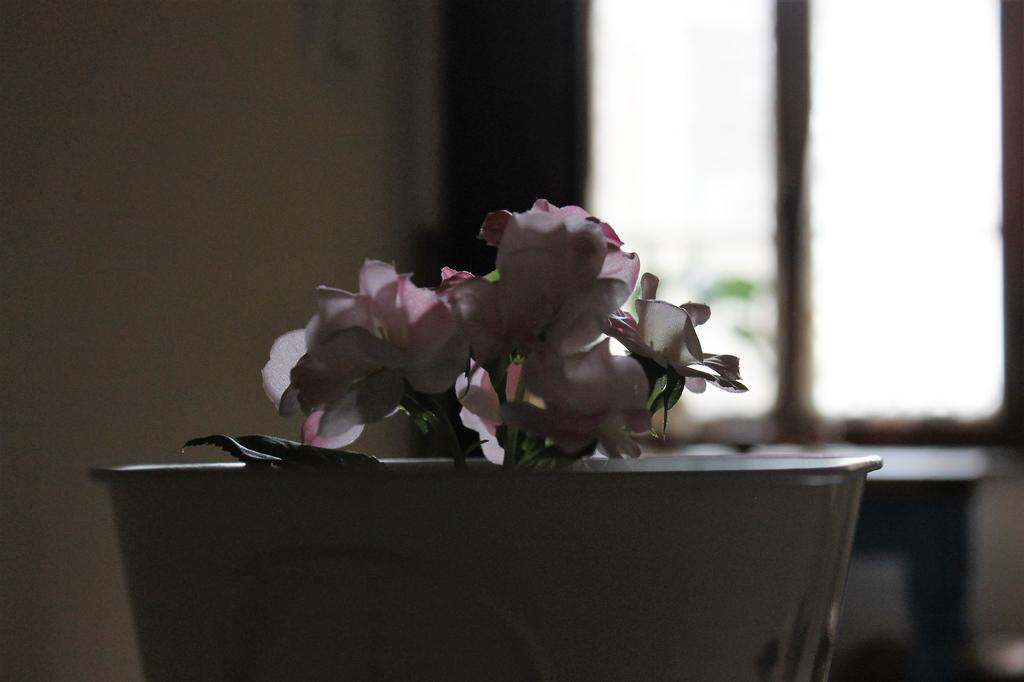 Guest house Buonarroti Relais