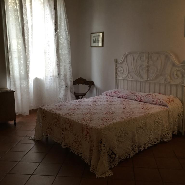 Hostel Alex