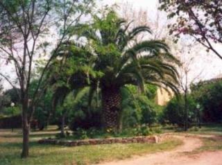 Hotel Garibaldi Relais 3*