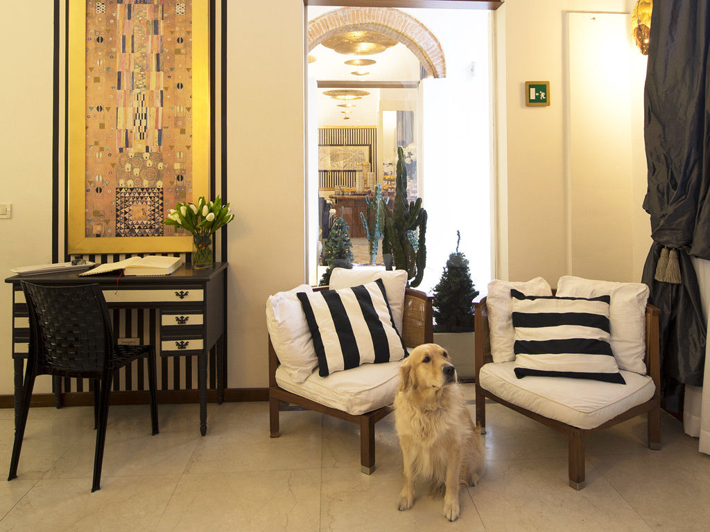 De La Pace, Sure Collection By Western Florence