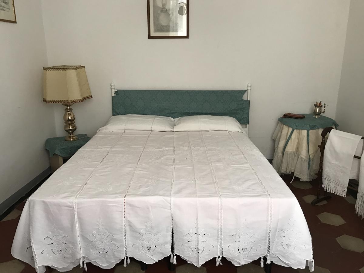 Alex Hostel