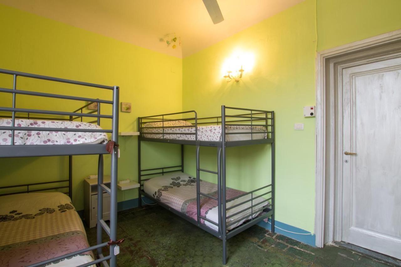 David Guest house