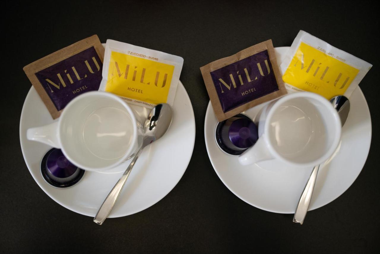 Milu Hotel 4*