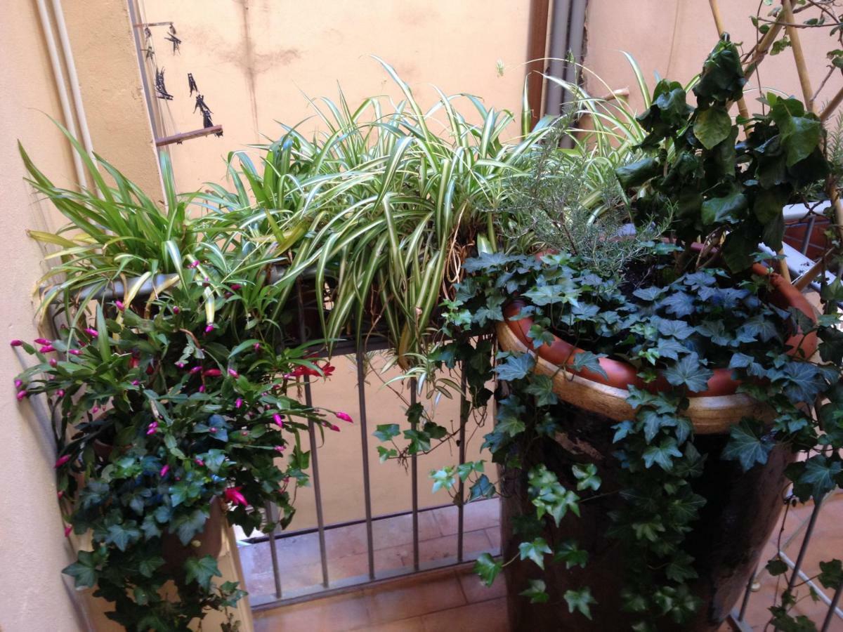 Oasis In The Heart Of Appartement *