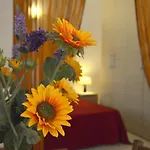 Magnolia - Large And Comfortable Studio Flat