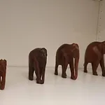 Zanobi 66