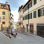 Magnoli 2 D