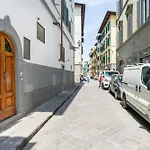 Macci Sixth