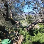 Turisti Nella Natura In Citta D\'Arte