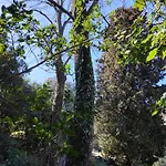 Turisti Nella Natura In Citta D\'Arte