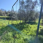 Turisti Nella Natura In Citta D\'Arte