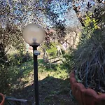 Turisti Nella Natura In Citta D\'Arte