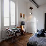 Urban Jungle Suite