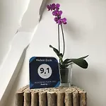 Maison Étoile