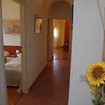 Green Apartment