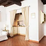 Rosa 8