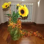 Il Palagetto