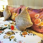 Borgo Ognissanti Central And Charming Location
