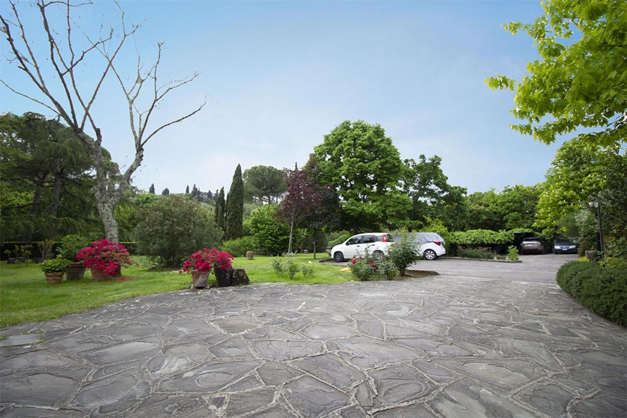 Rosmarino *