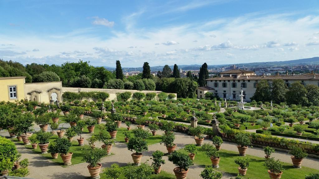 Ulivi Di Castello 3* Florence