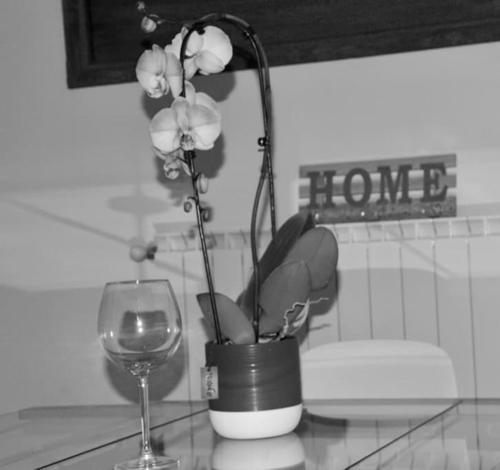 Brand New Appartement Florence