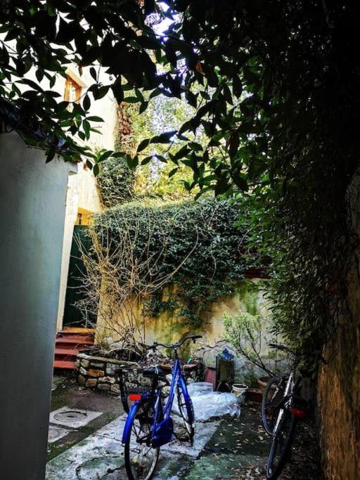 Florentine Style In San Frediano Apartment *