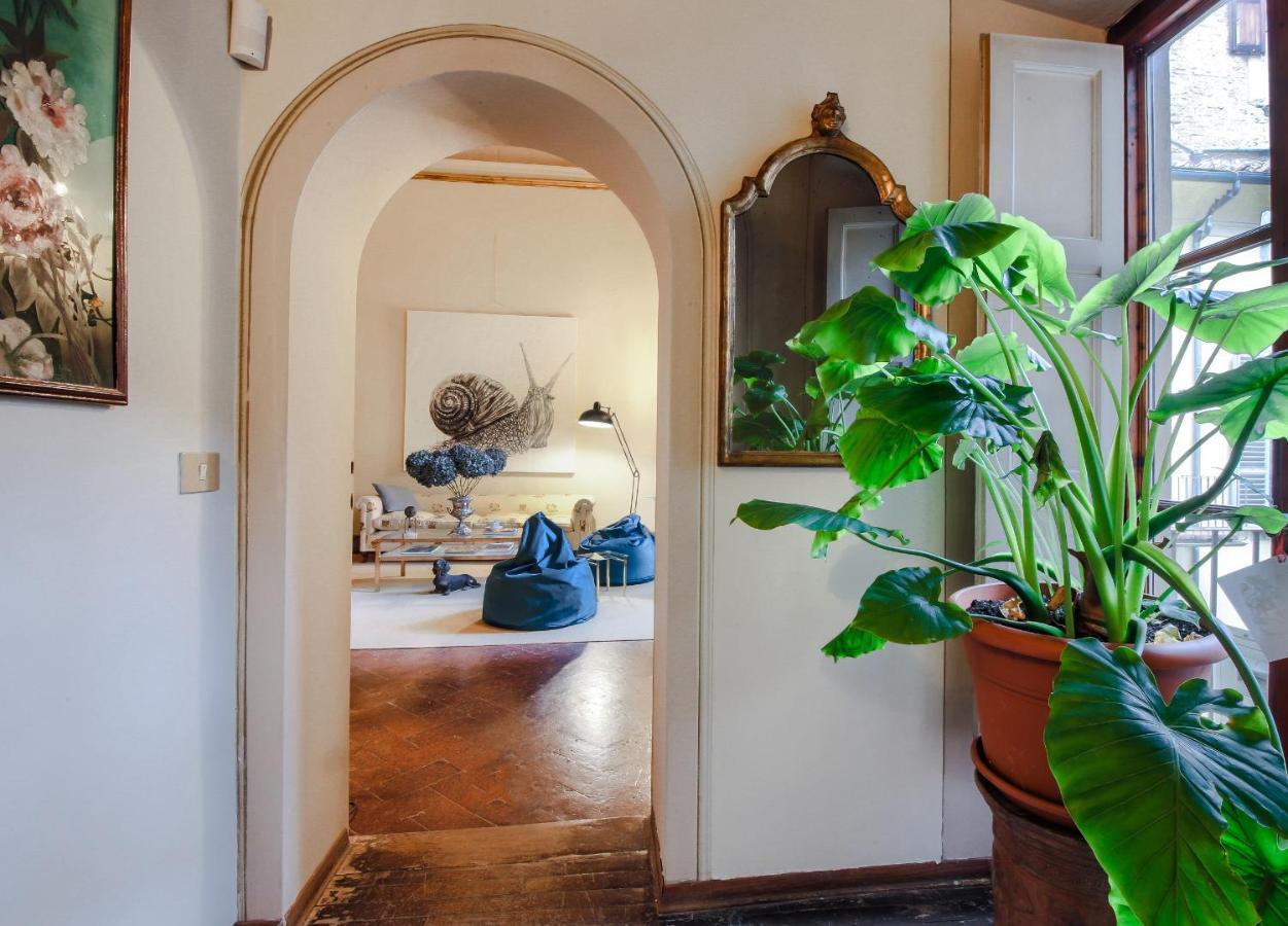 - The Slowcoach House Apartment *