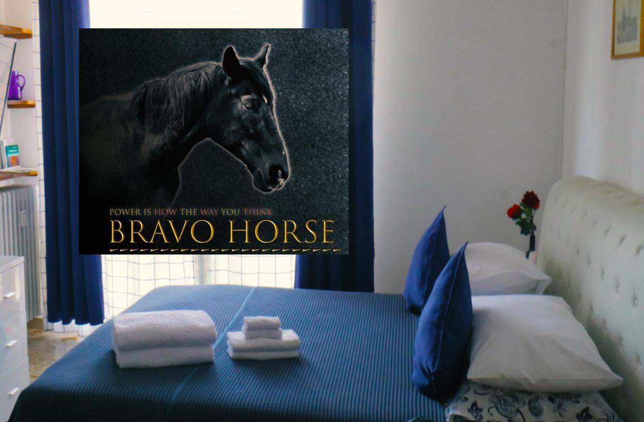 Bravo Horse Homestay *