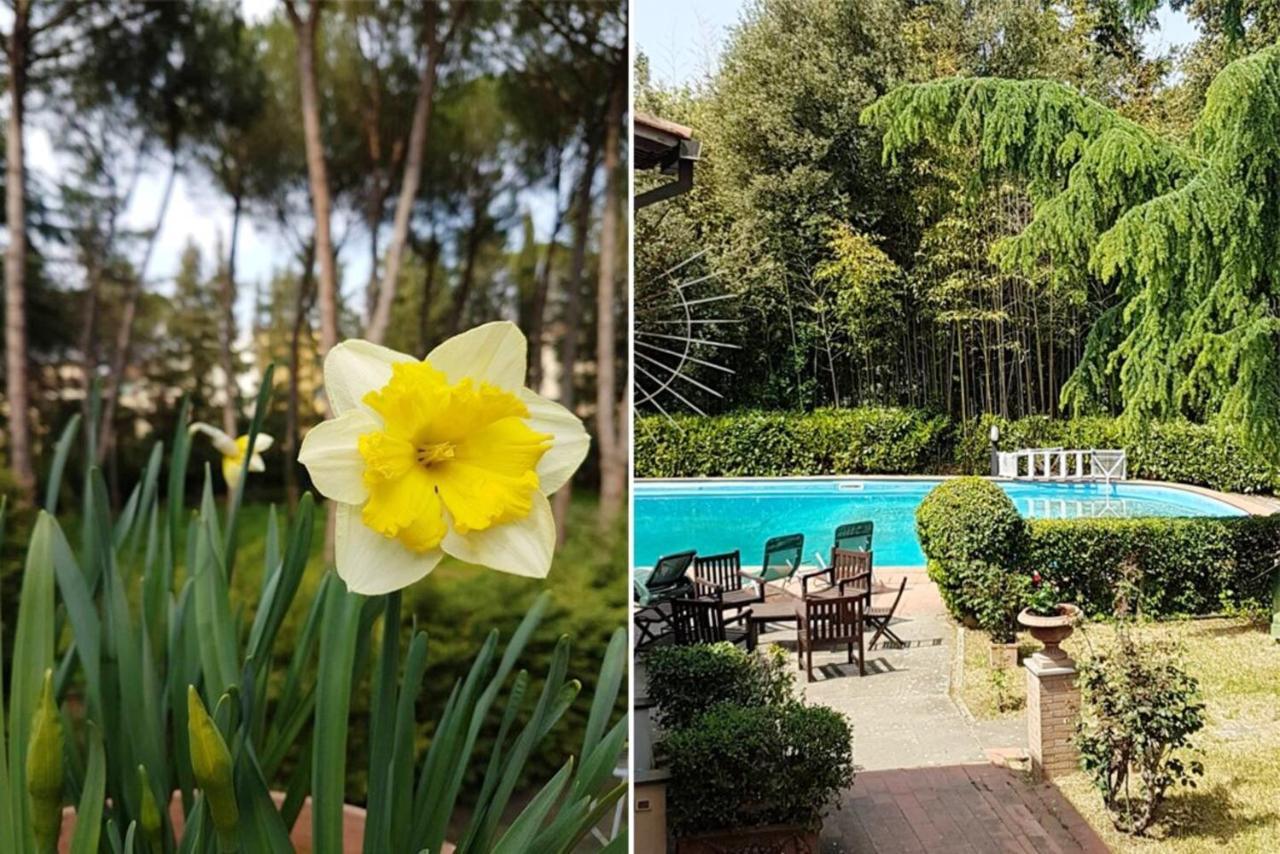 Peaceful In With Private Pool Villa Florence