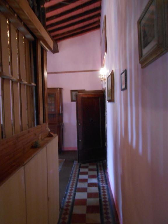 Renai 13 Florence