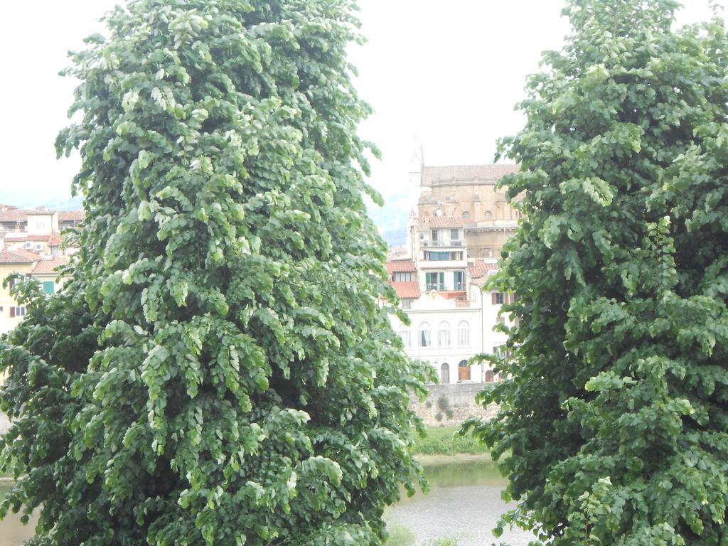 Renai 13 Florence