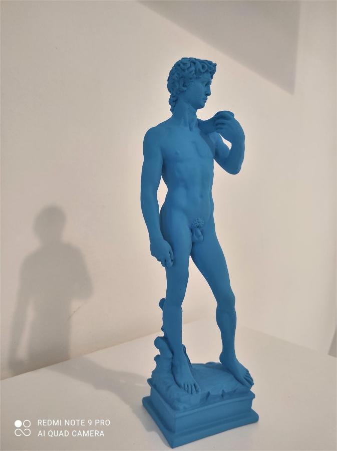 Dependace Il David Di Michelangelo Apartment Florence