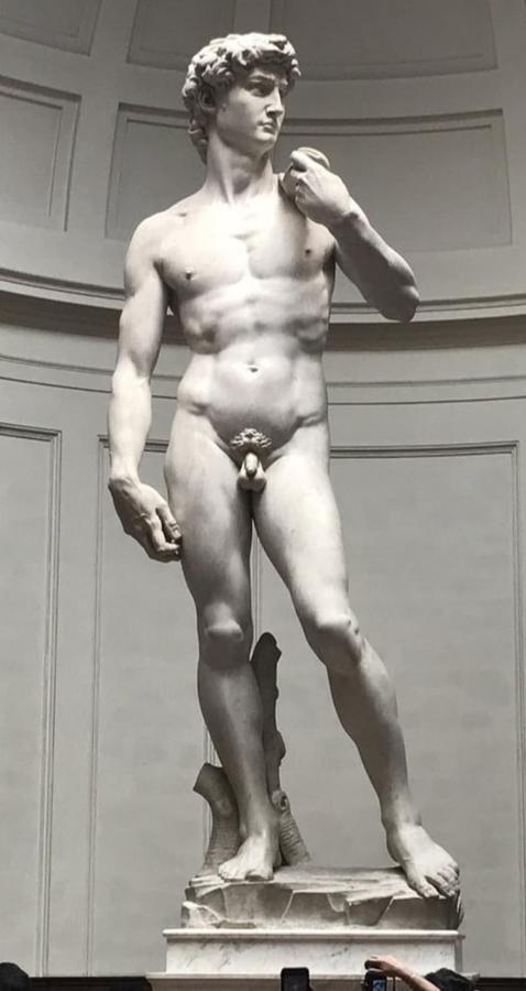 Apartment Dependace Il David Di Michelangelo