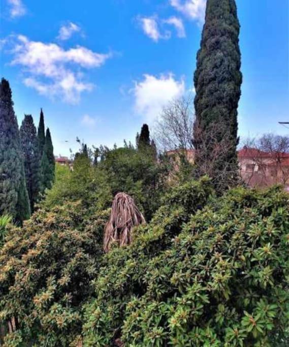 Casa Raffaello Careggi Appartement Florence