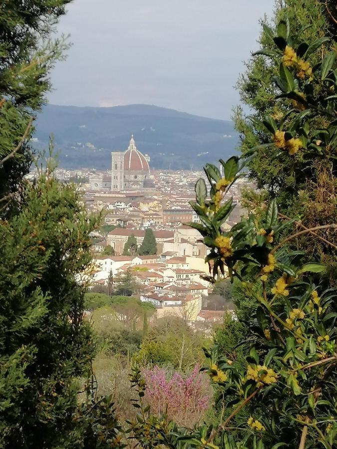 Apartment Pitti Loft Florence