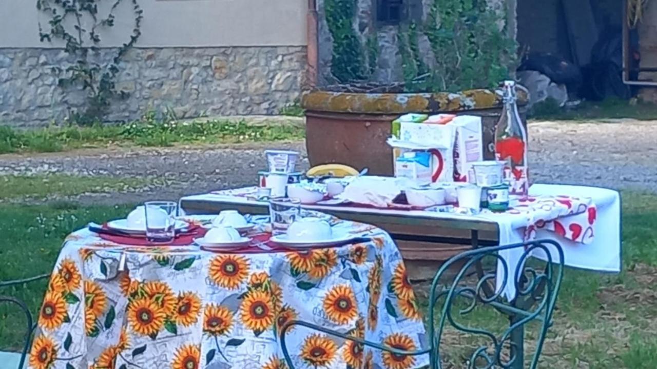 Séjour chez l'habitant Sunshine Florence