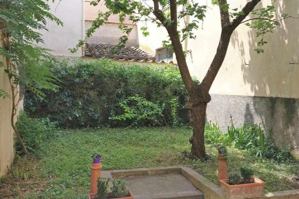 Il Tulipano With Patio