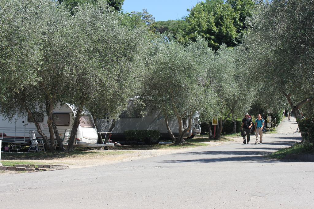Camping Michelangelo Campsite