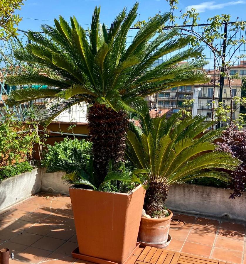 Il Giardino Sospeso Di Anna Appartement