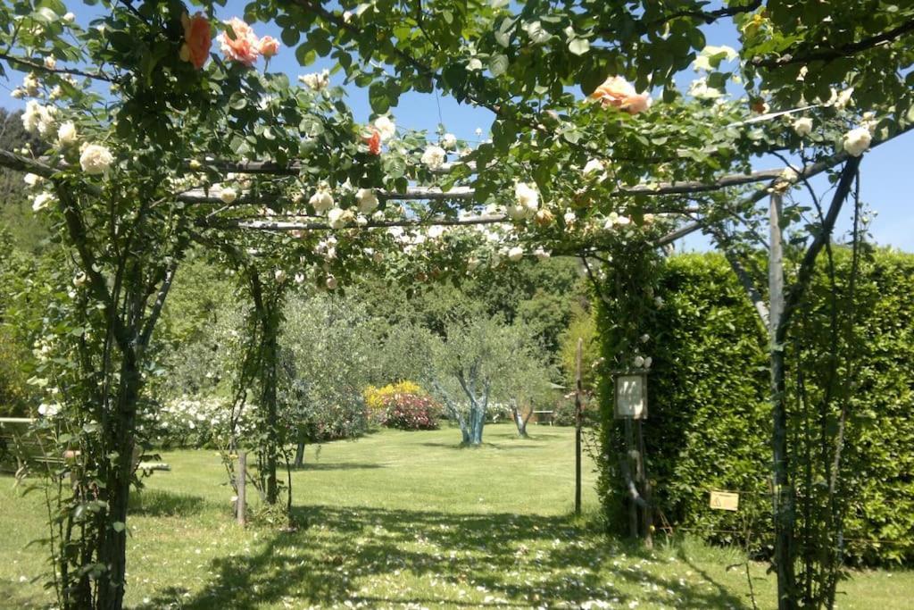 Il Giardino In * Florence