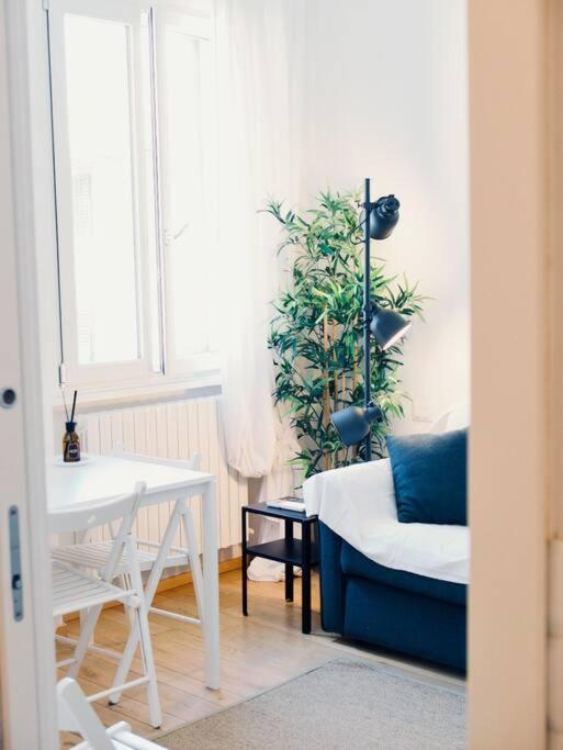 Apartment Bright Flat In Oltrarno